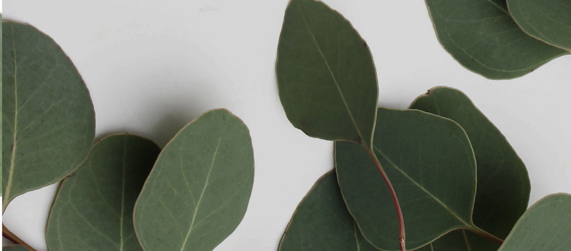 Взыскание ущерба от экологических правонарушений в Атамановке